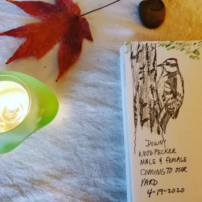 A sketch of a Downy Woodpecker on a tree trunk in a notebook, along with autumn leaves and a candle.