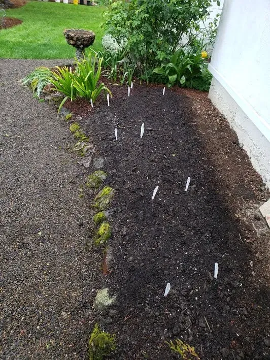 A garden bed with dark soil is marked with white plant labels. The bed is next to a white wall and a gravel path.