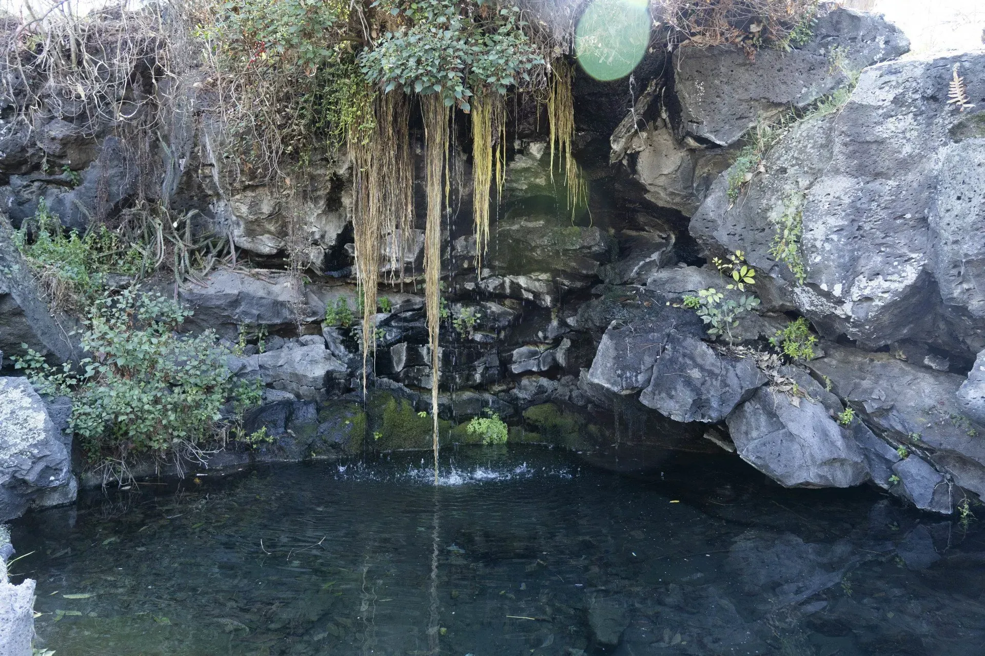 A small pond beneath a rock overhang with vegetation and water cascading down.