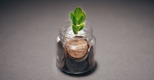 Pennies are in a small clear jar with a plant sprouting out of it.