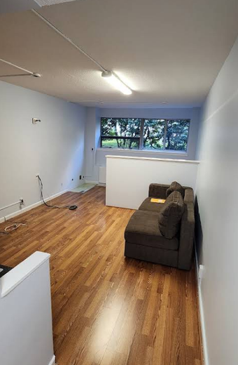 Empty room with brown sofa, wood floor, and large window overlooking trees. White walls and fluorescent lighting.