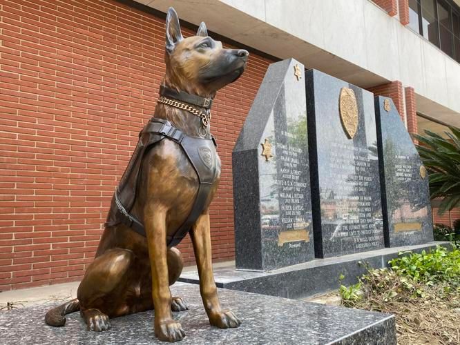 Jango K-9 local hero in Bakersfield, CA