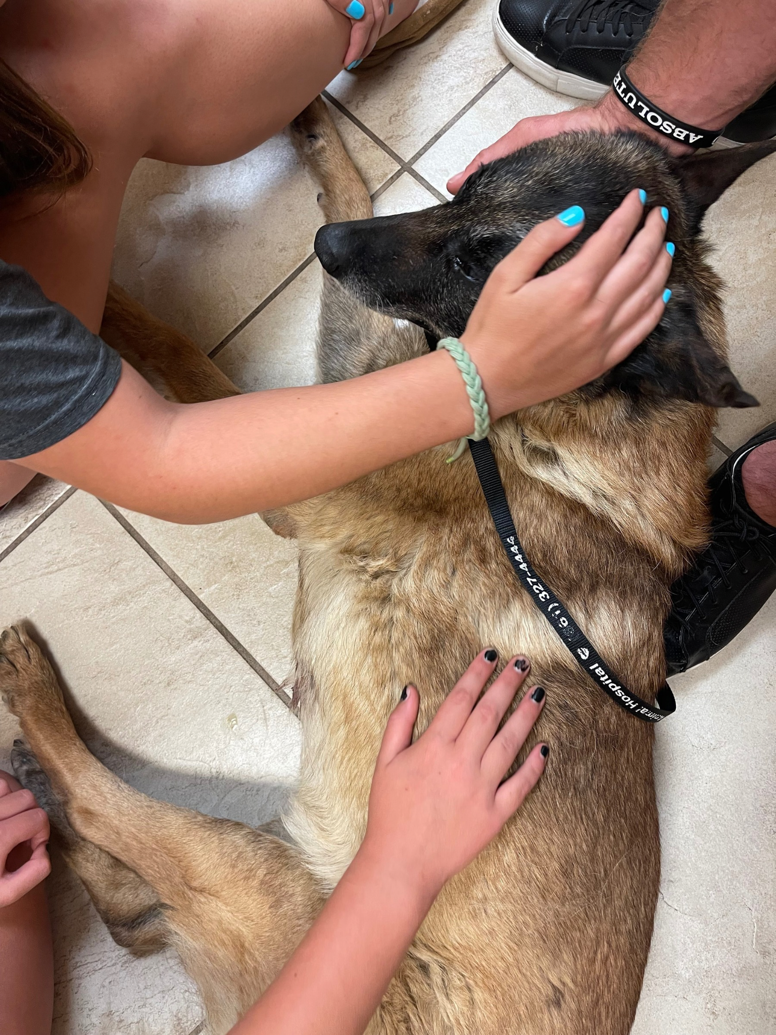 family saying goodbye to their beloved pet