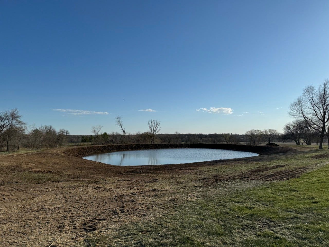A small pond in the middle of a field with trees in the background.