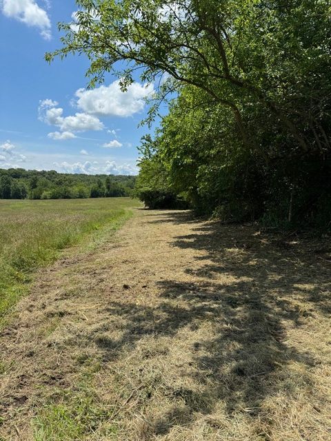 A dirt road going through a field with trees on both sides.