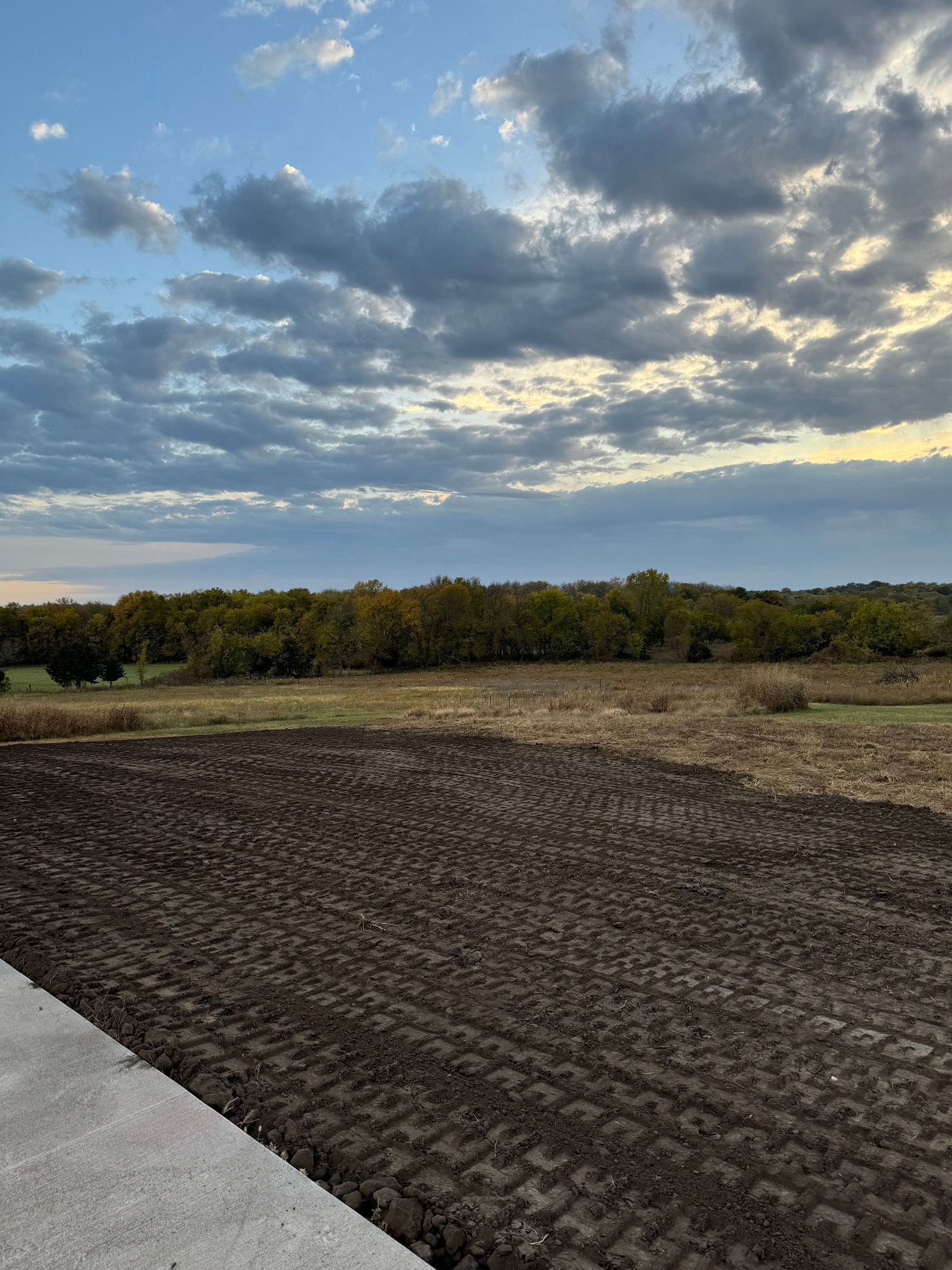 A dirt field with trees in the background and a cloudy sky.
