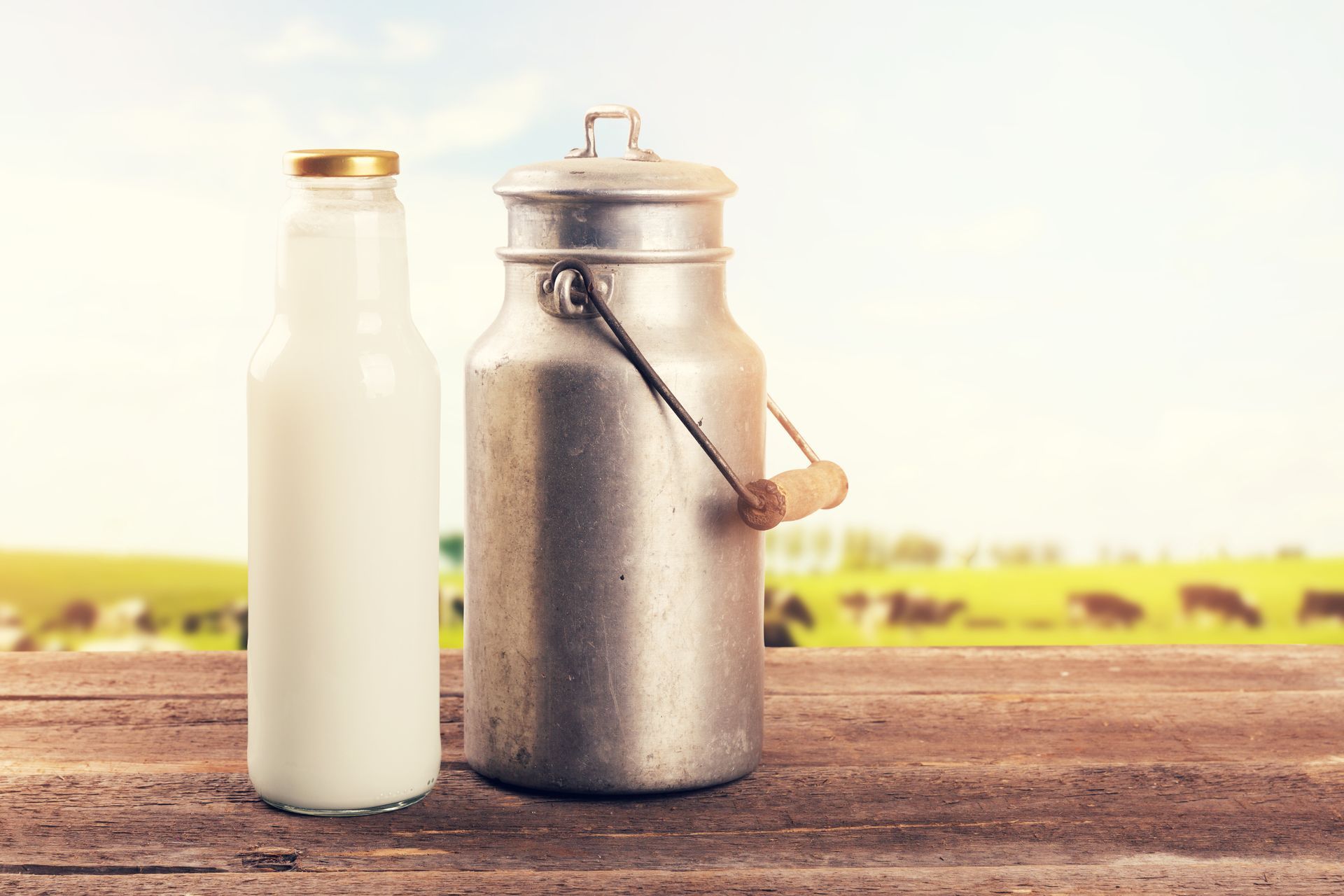 A milk can and bottle on a table near a cow pasture meadow. A milk can and bottle on a table near a cow pasture meadow.