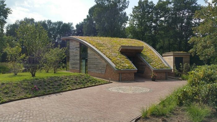De praktijk van Nancy, hypnotherapeut, bevindt zich in gezondheidscentrum Zen Natuurlijk in Schijndel.