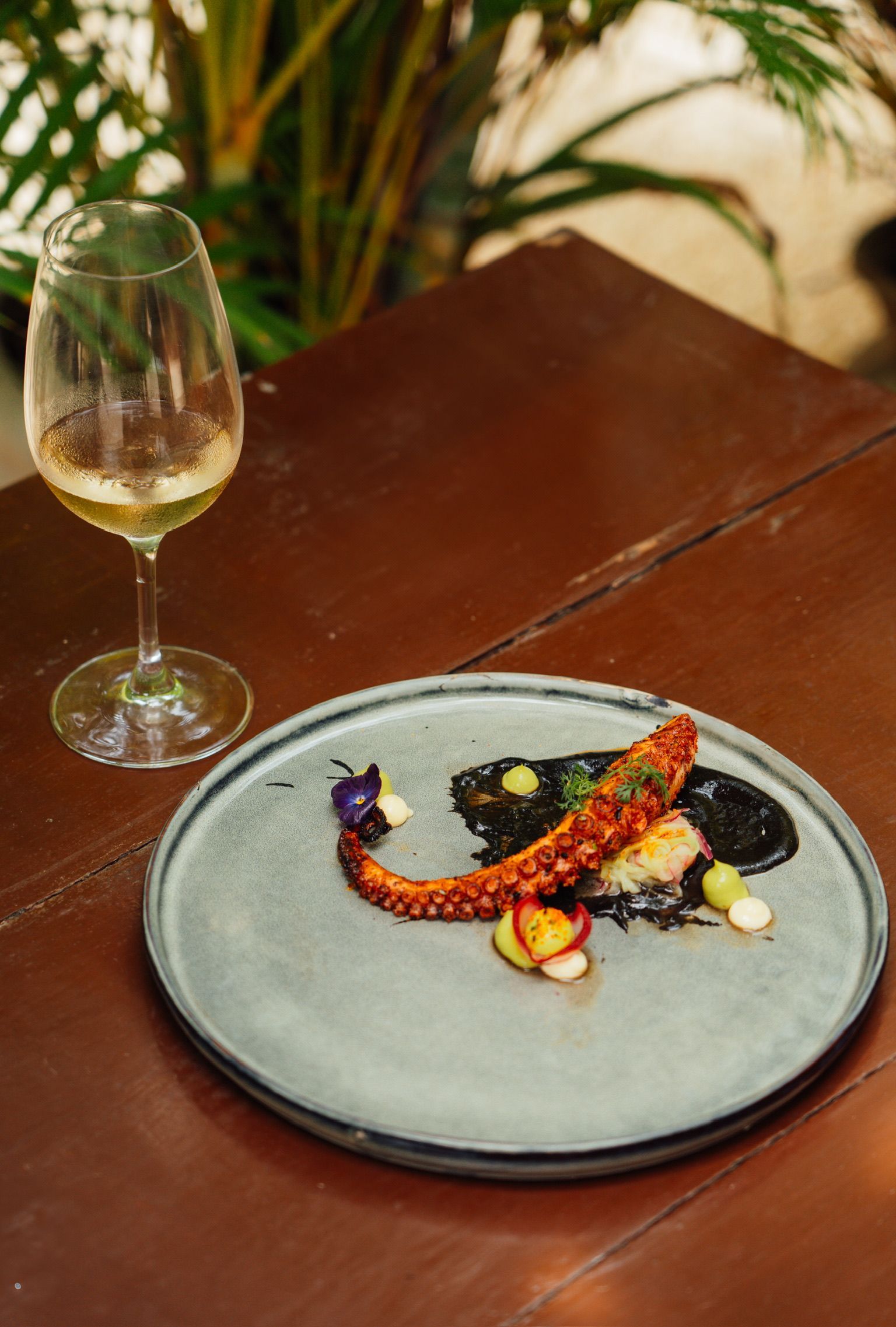 Wine glass beside a plated seafood dish with octopus tentacle on a wooden table