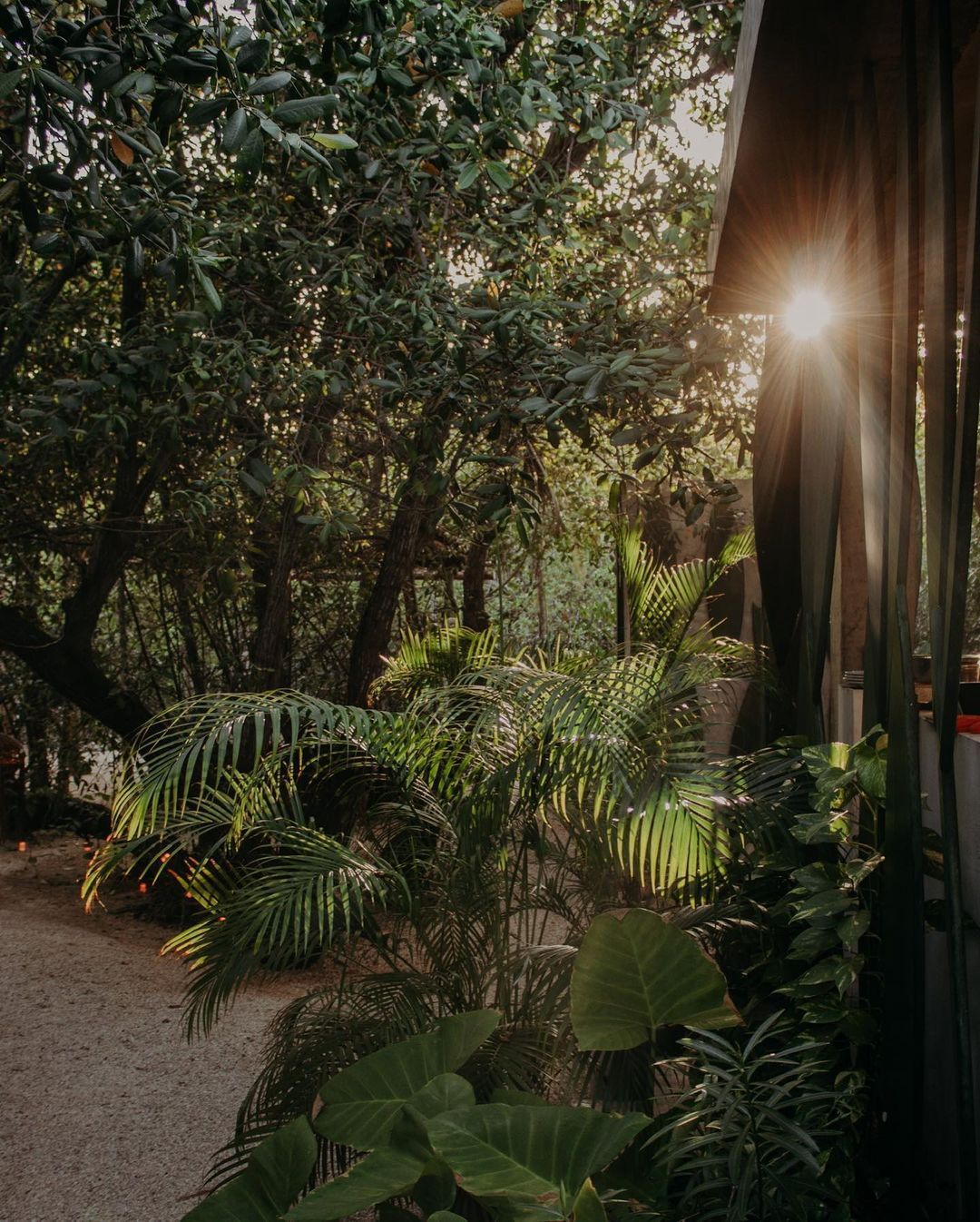 Jungle surrounding at WILD Tulum restaurant