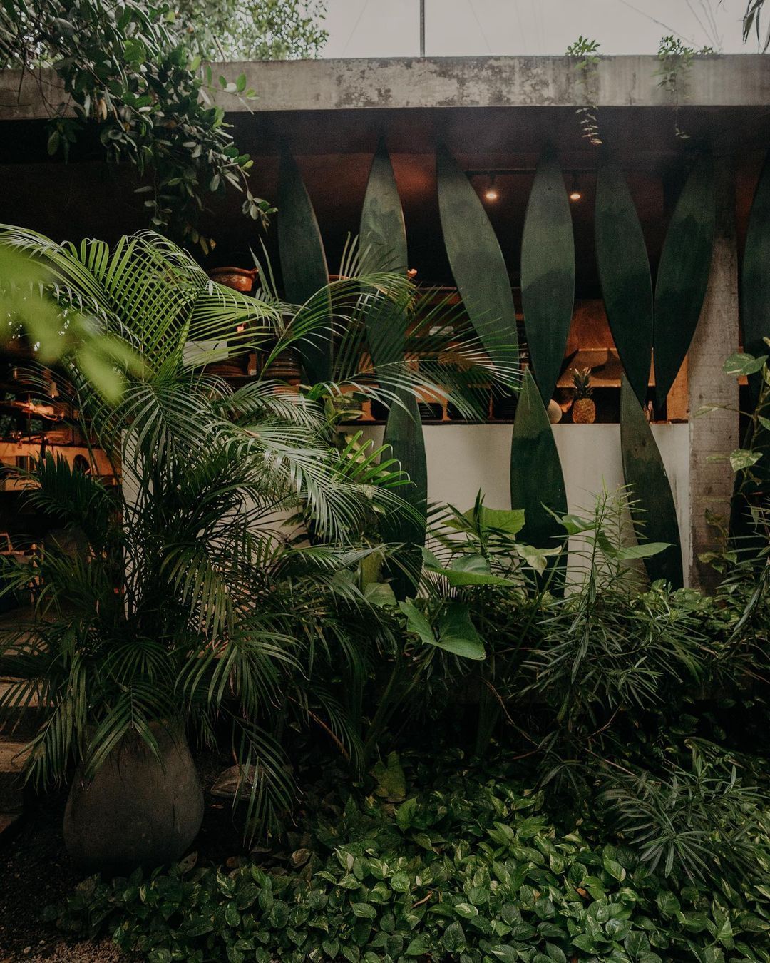 Jungle surroundings at WILD Tulum