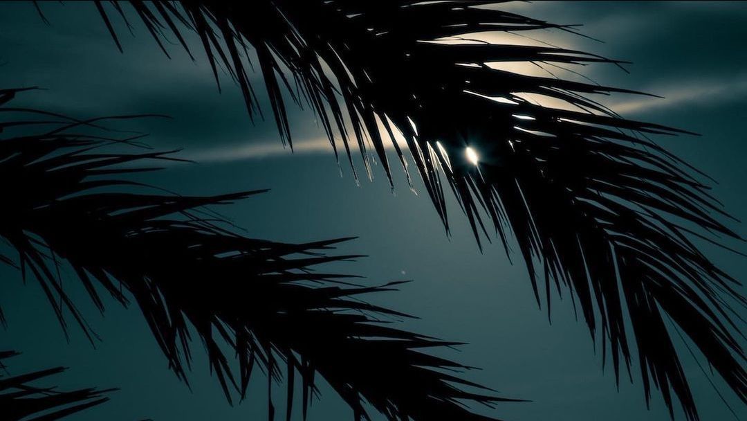 Night view at Tulum beach
