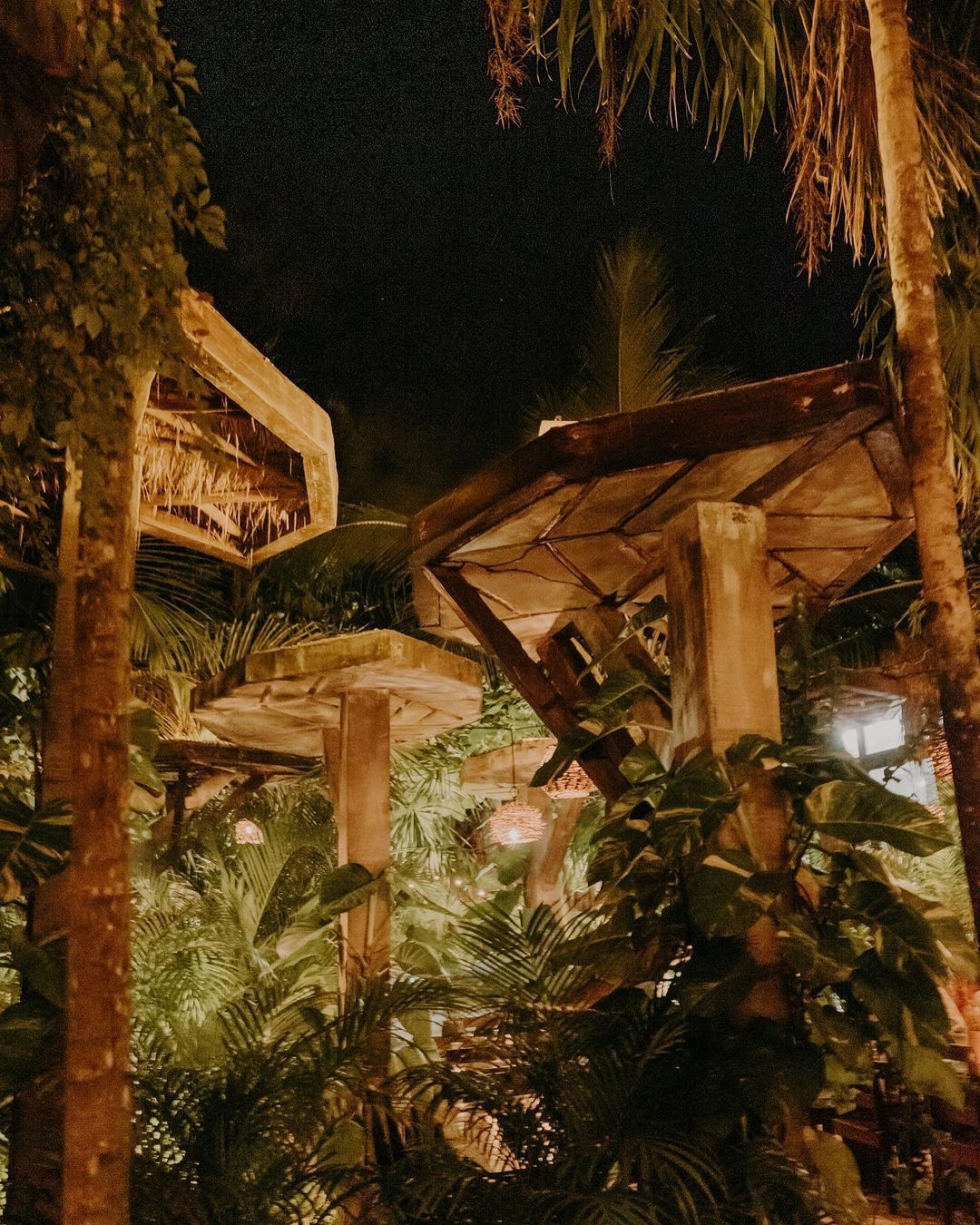 Ambience at WILD Tulum
