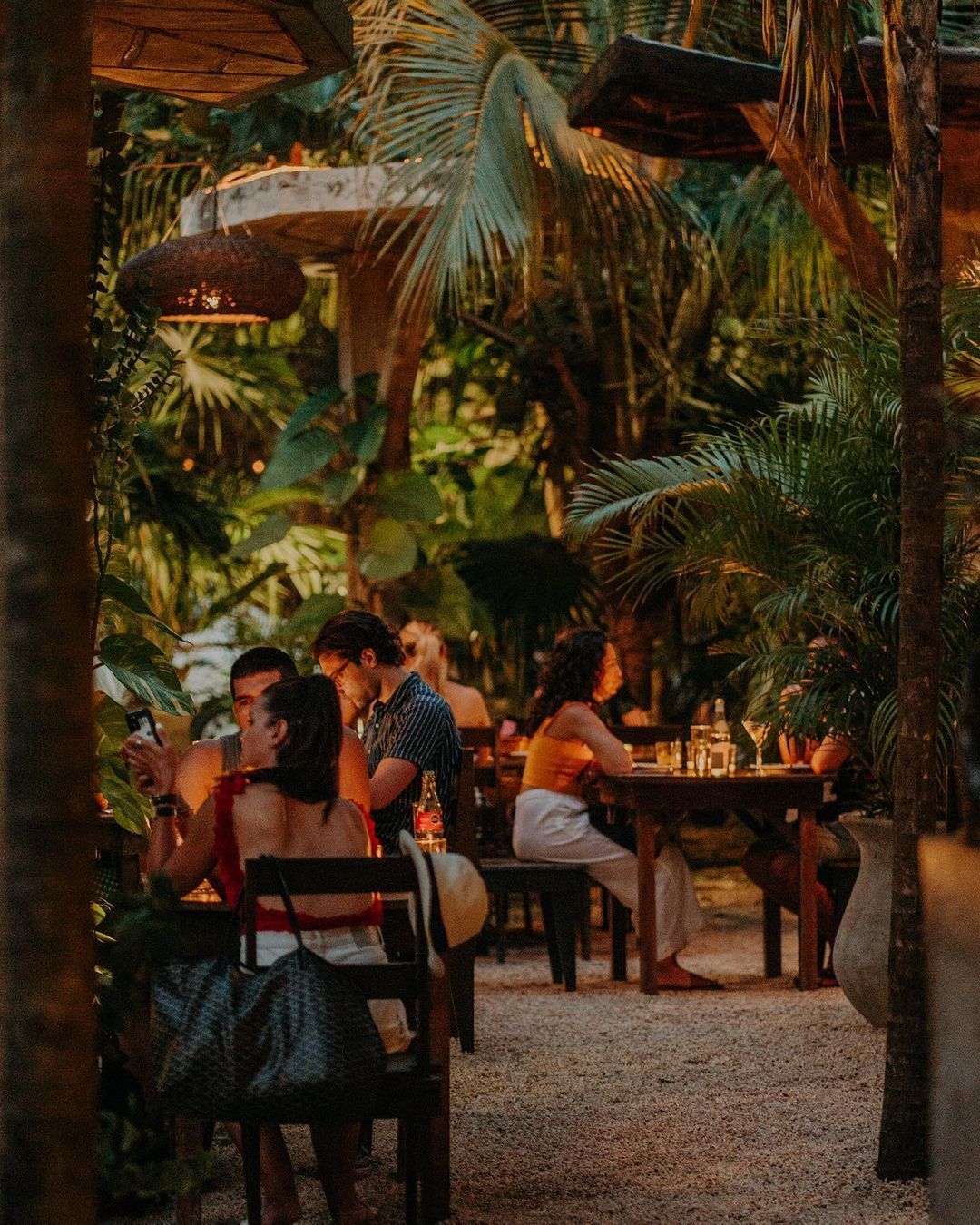 Dining experience at WILD Tulum restaurant