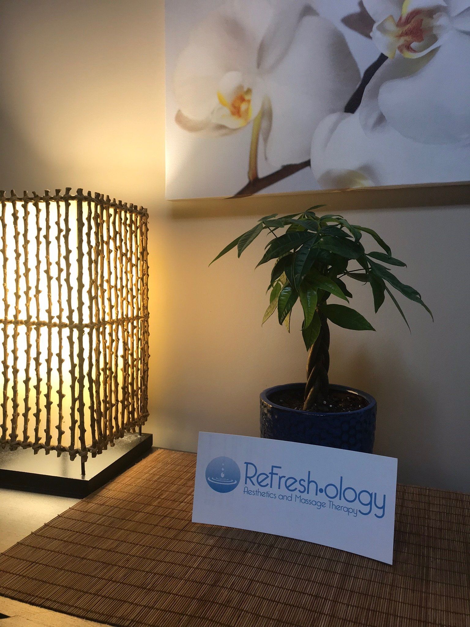 A plant in a pot with a sign that says refreshology