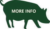 Pig Icon