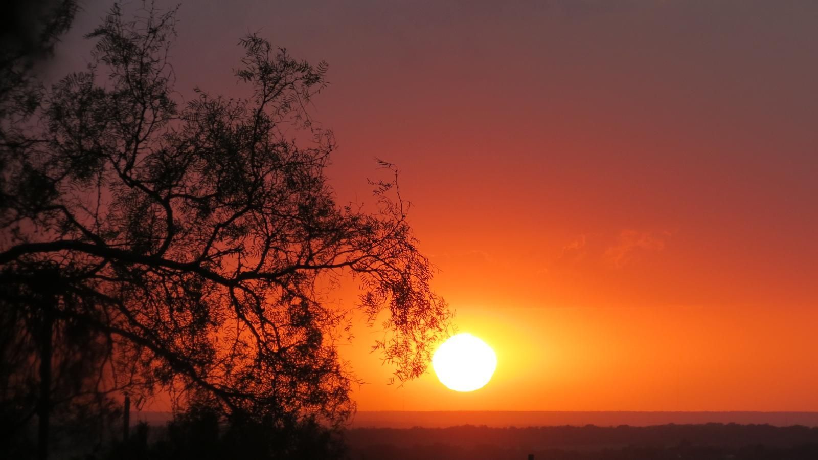 Fiery sunset over a distant horizon, viewed from behind a silhouetted tree with a vibrant orange and red sky.