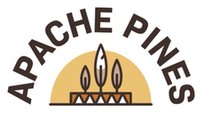 Logo for Apache Pines: text arches over a tan semi-circle with three stylized feathers above a geometric design.