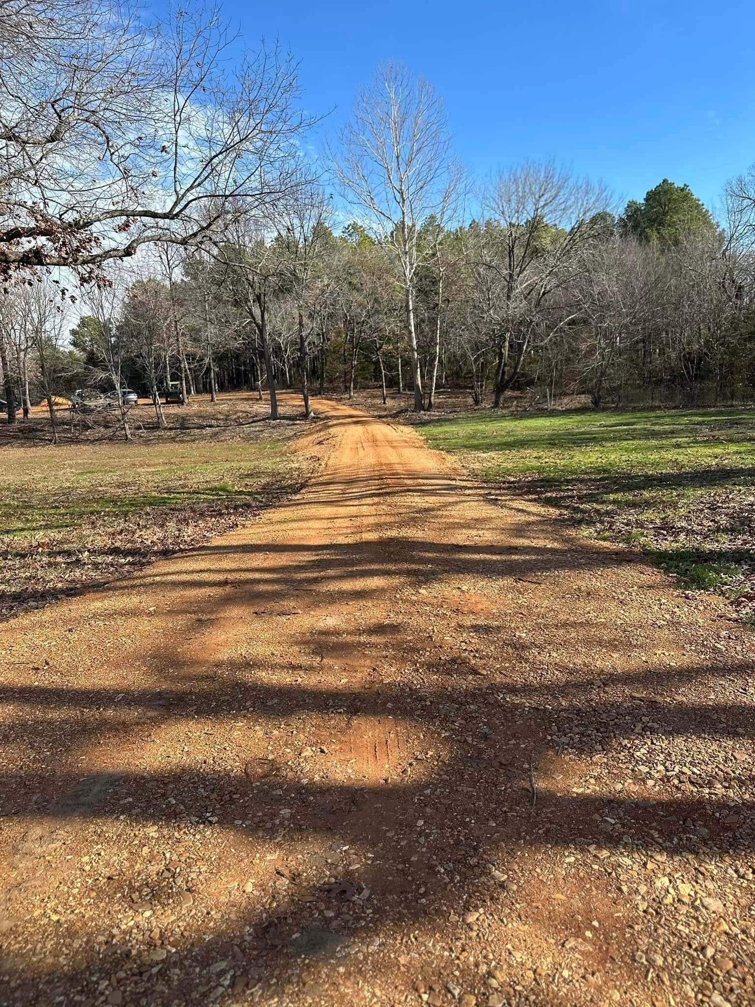 Dirt path through a park with trees, blue sky above.