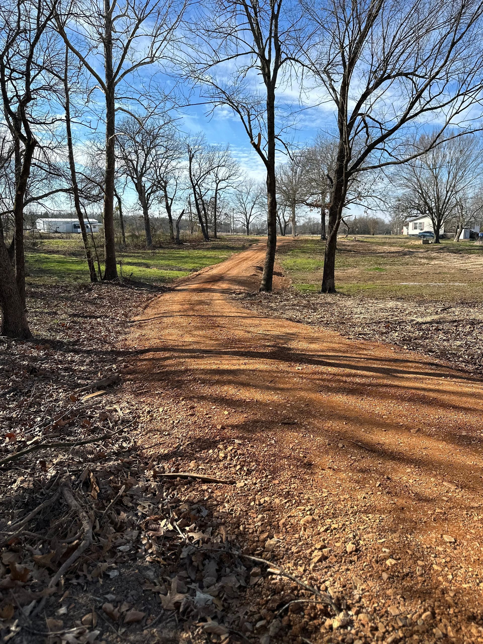 Dirt road through a field with bare trees, leading to a bright blue sky.