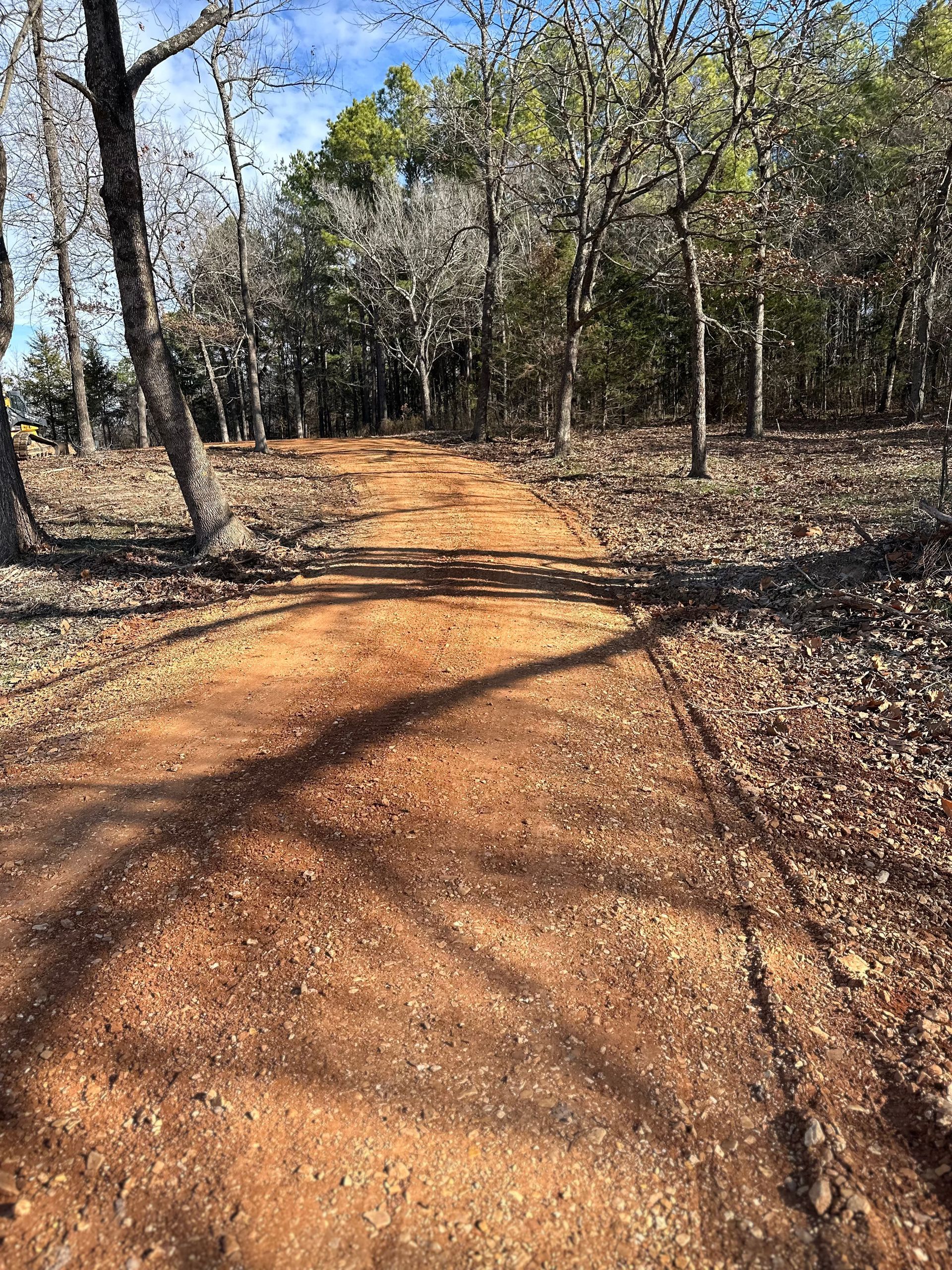 Dirt path through a sunny forest, with trees casting shadows and fall leaves on the ground.