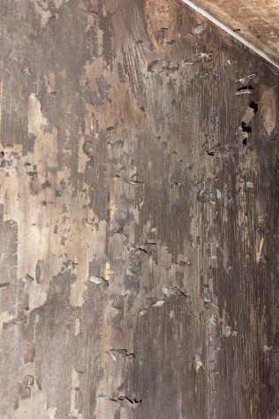 Mold Removal