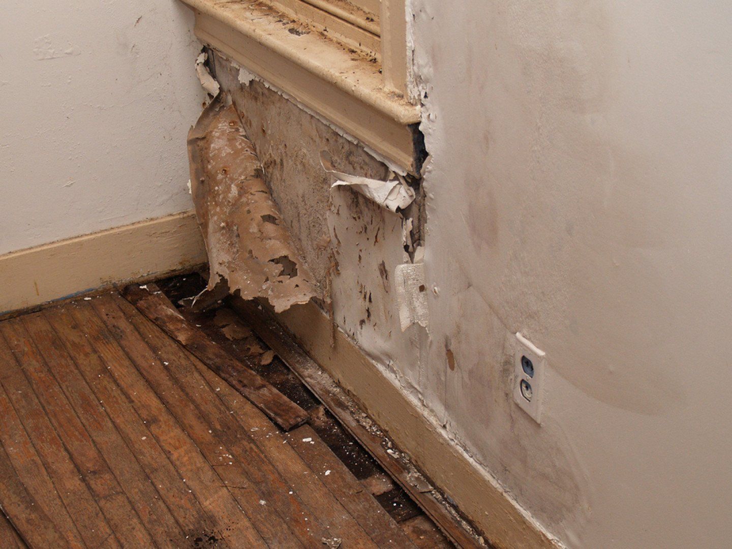 Water Damaged Interior Wall