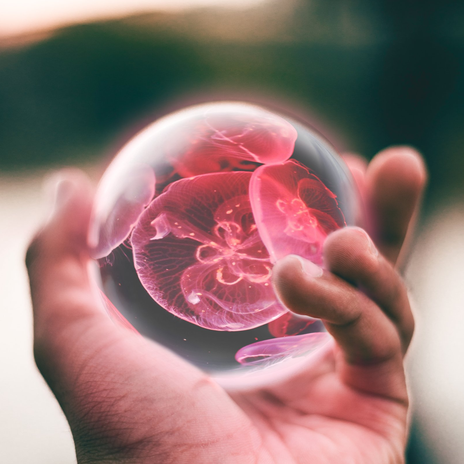 Holding a psychic ball