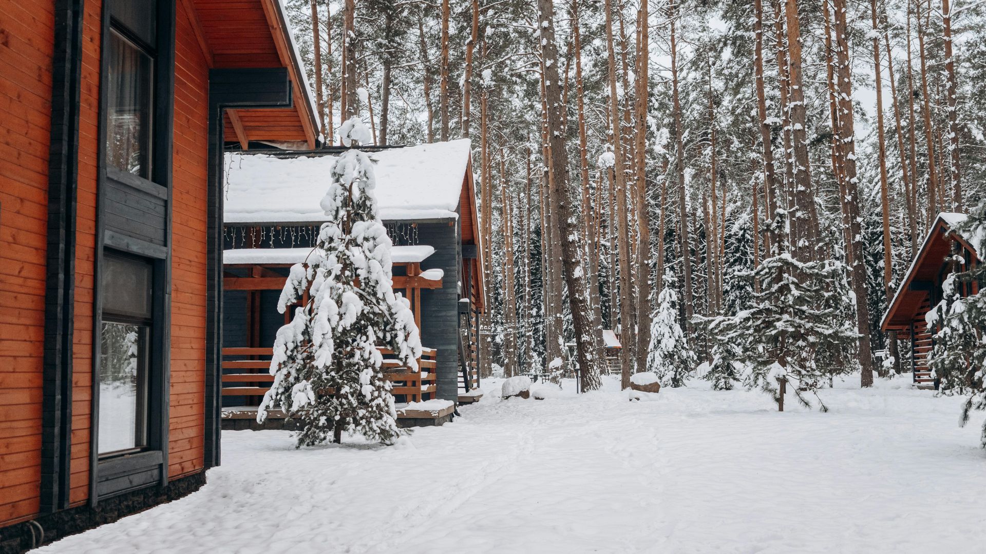 Snow-covered cabin among tall pine trees in a winter forest