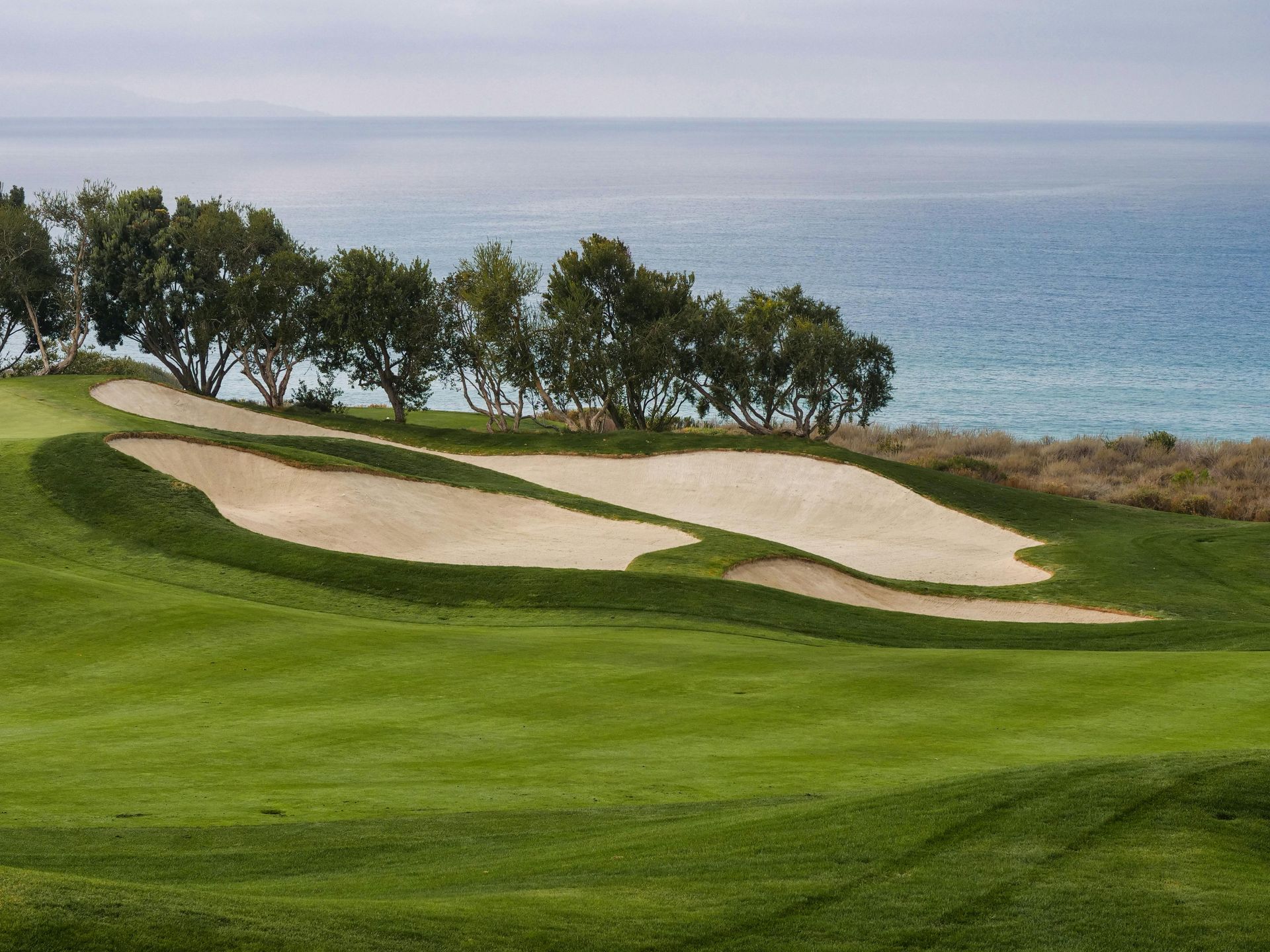 Golf course green with sand bunkers beside the ocean and trees in the background