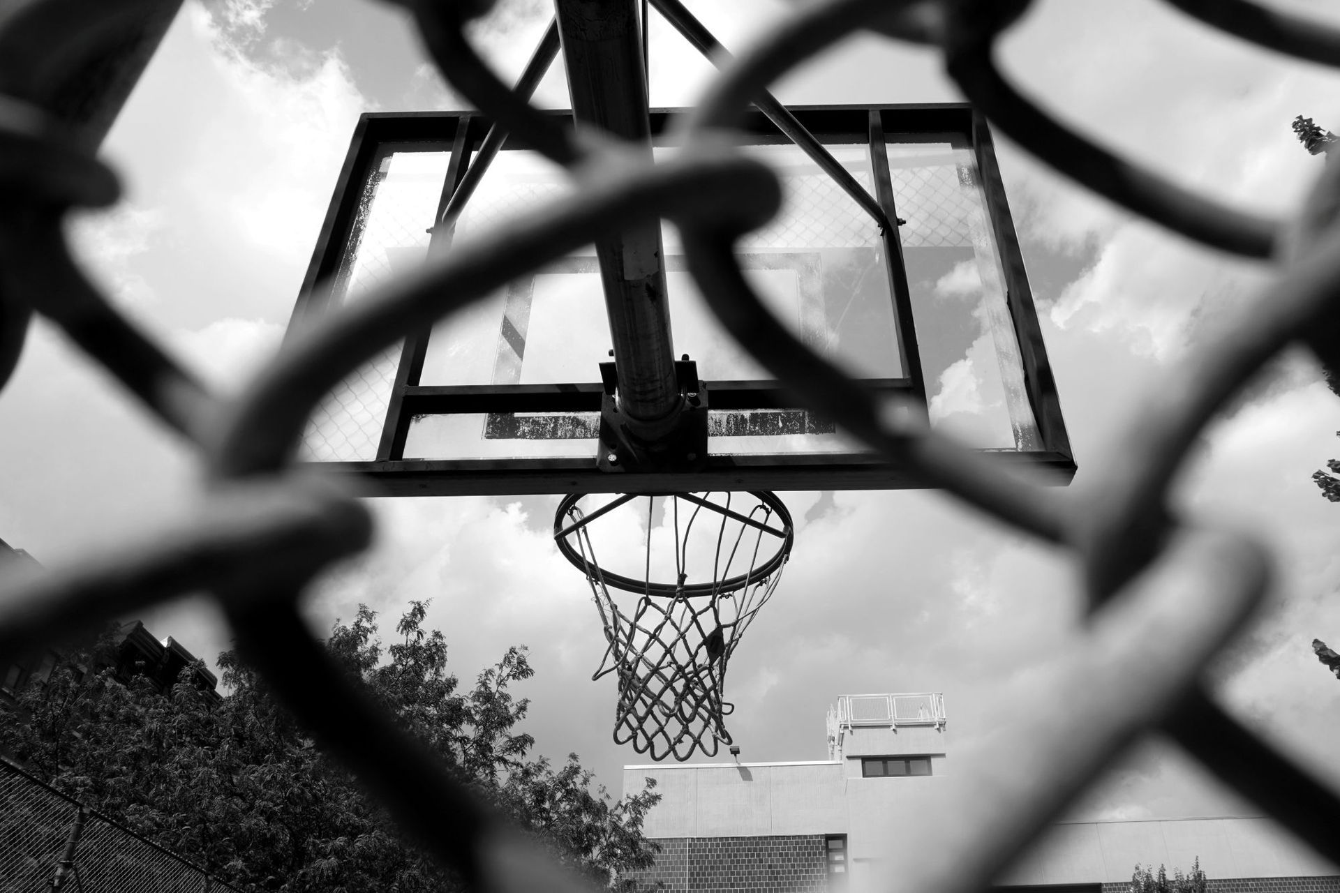 NBA All-Stars and Elite Entrepreneurs have