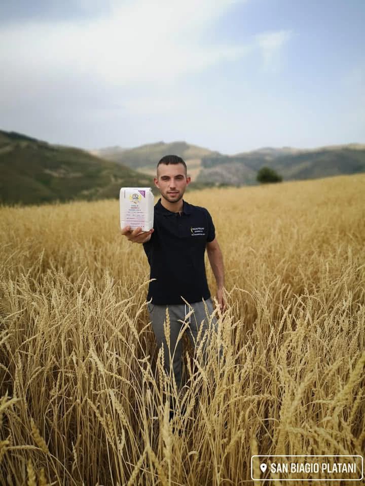 Una mano regge un panino intrecciato al sesamo sopra una griglia di raffreddamento con diversi tipi di pane fresco.