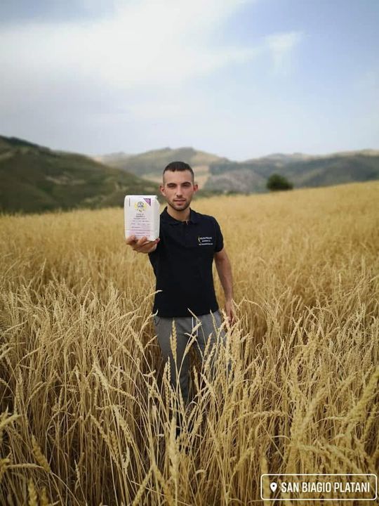 Una mano regge un panino intrecciato al sesamo sopra una griglia di raffreddamento con diversi tipi di pane fresco.