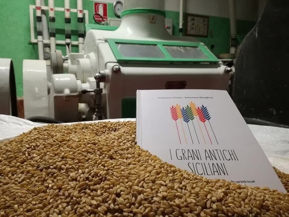 Mani che reggono una fetta di pane giallo con uvetta, che mostra una mollica morbida e ariosa.