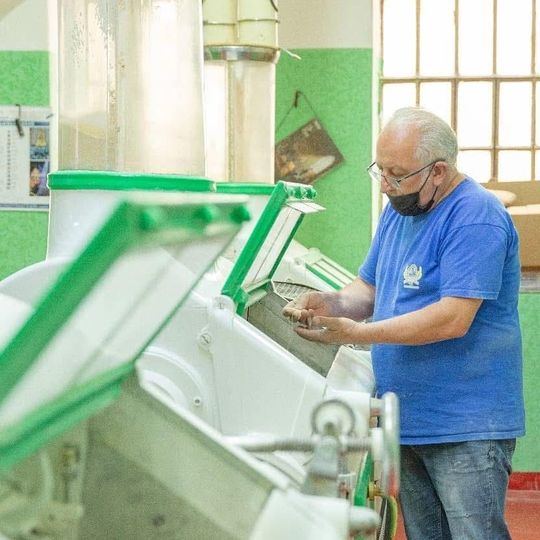 Mani che dispongono forme di argilla o pasta beige su un tavolo di metallo in un ambiente di laboratorio.