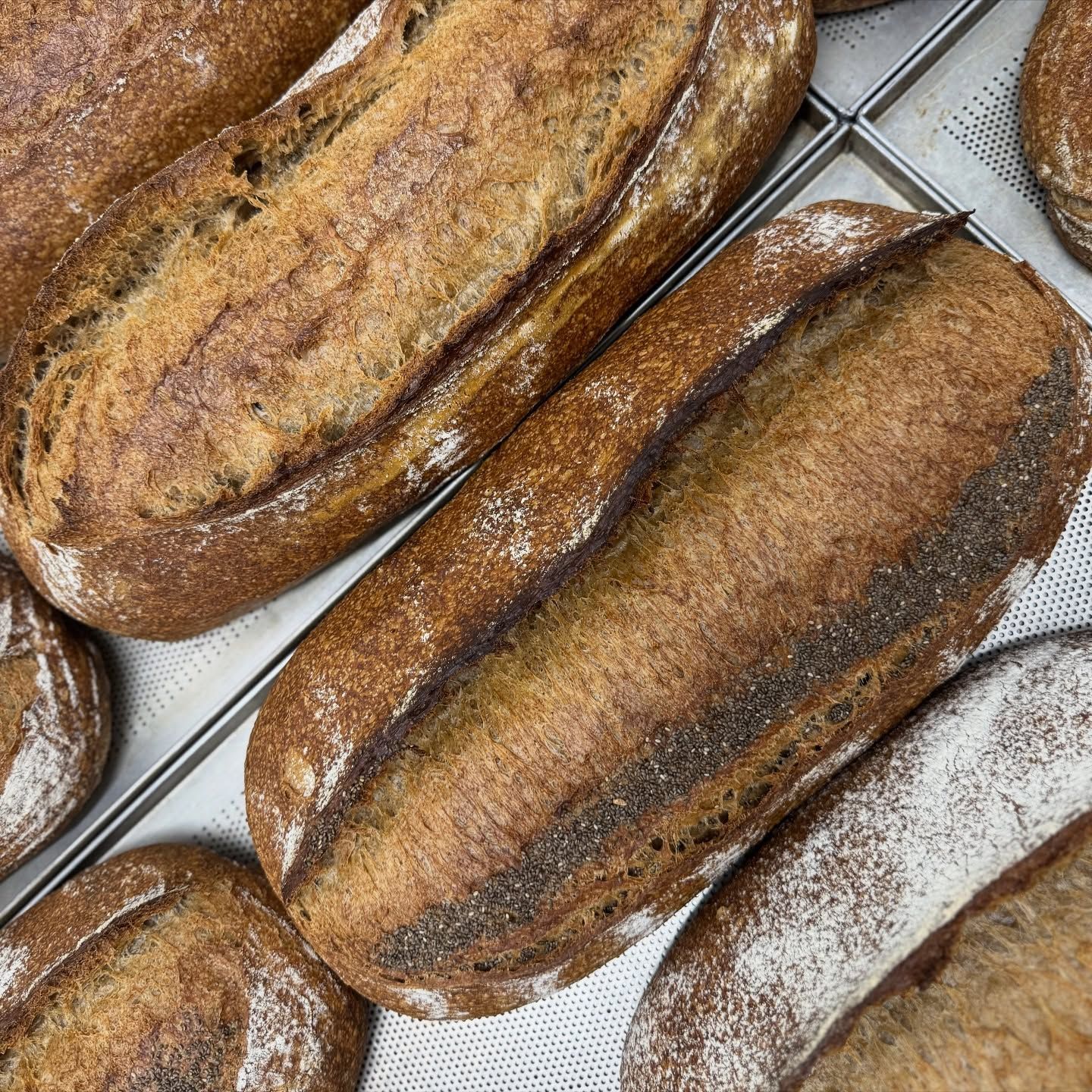 Pagnotte ovali di pane fresco e croccante disposte su una griglia di raffreddamento.