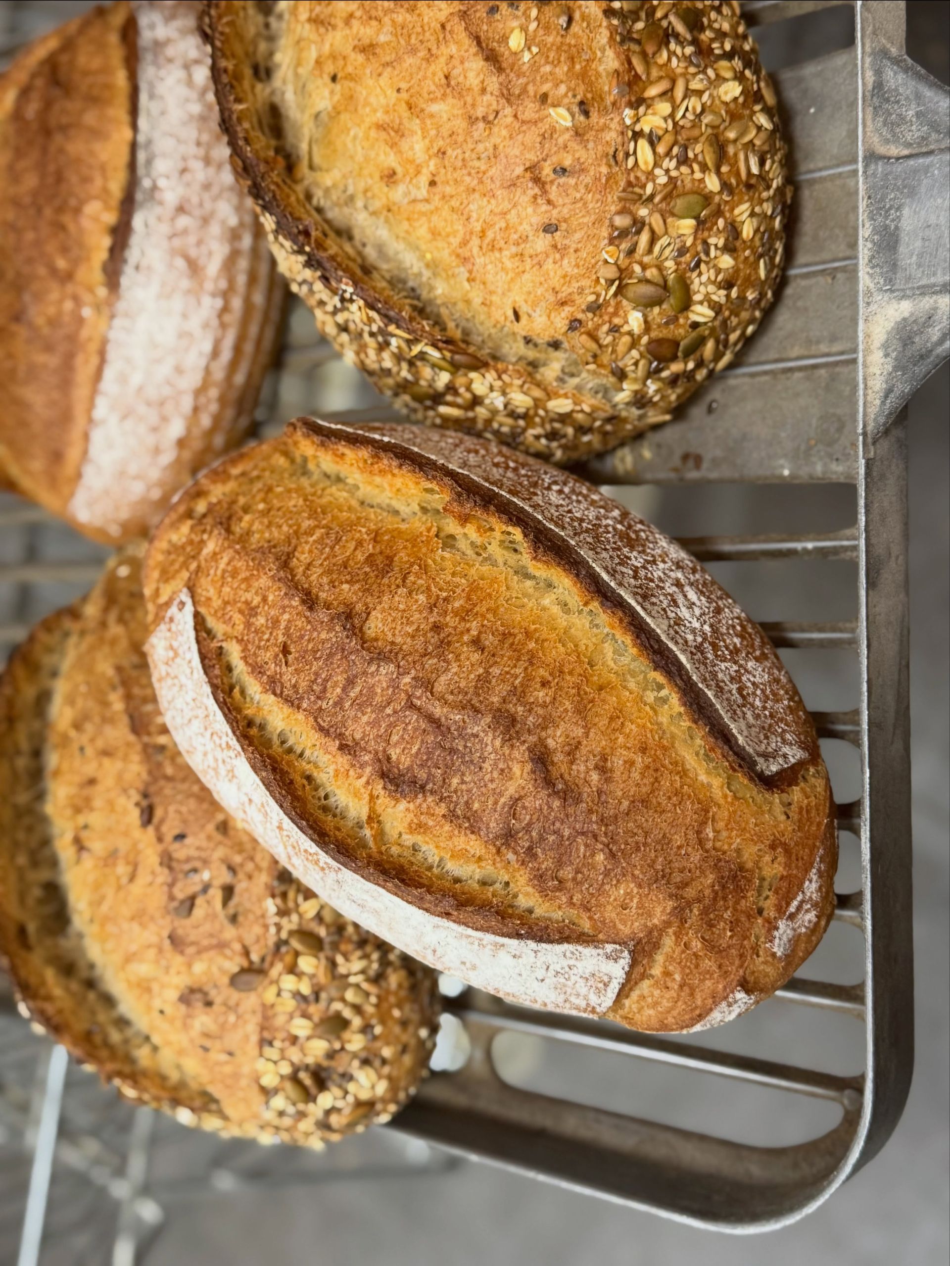 Assortimento di pagnotte di pane dorate che si raffreddano su una griglia metallica