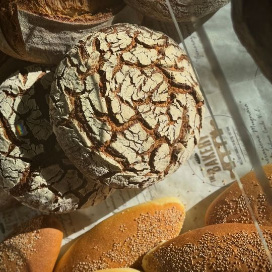 Primo piano di biscotti al cioccolato screpolati su un vassoio, spolverati di zucchero a velo.