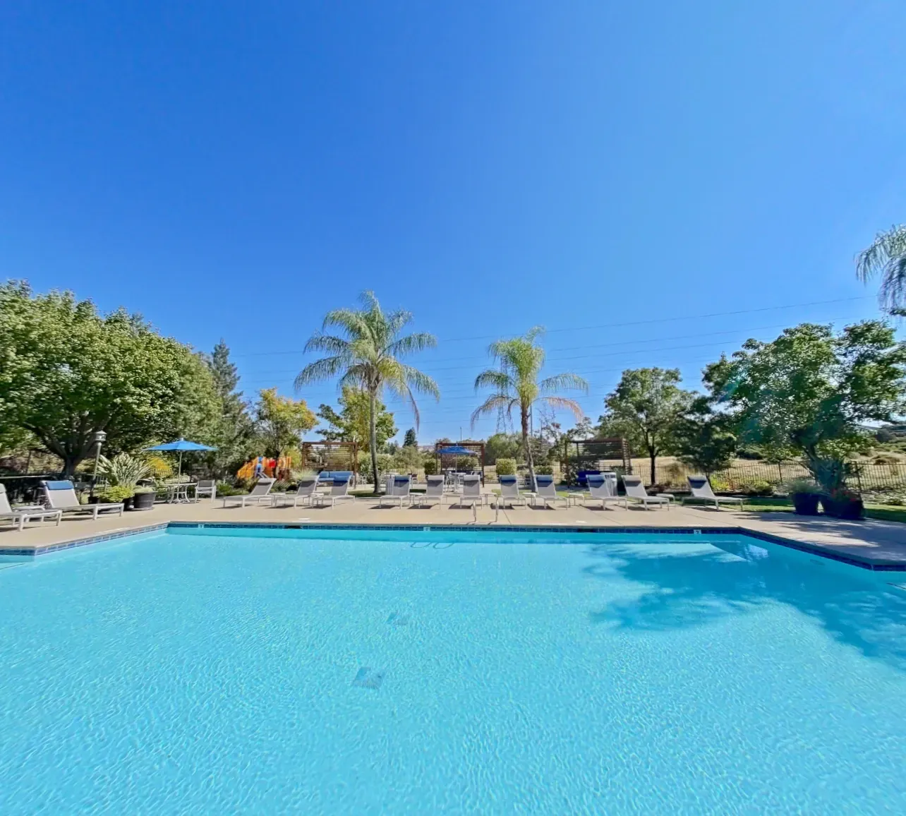 Resort-style swimming pool with lounge chairs and palm trees under a clear blue sky.