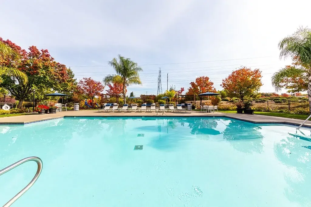 Sparkling swimming pool with lounge chairs and umbrellas, surrounded by lush landscaping and colorful autumn trees.