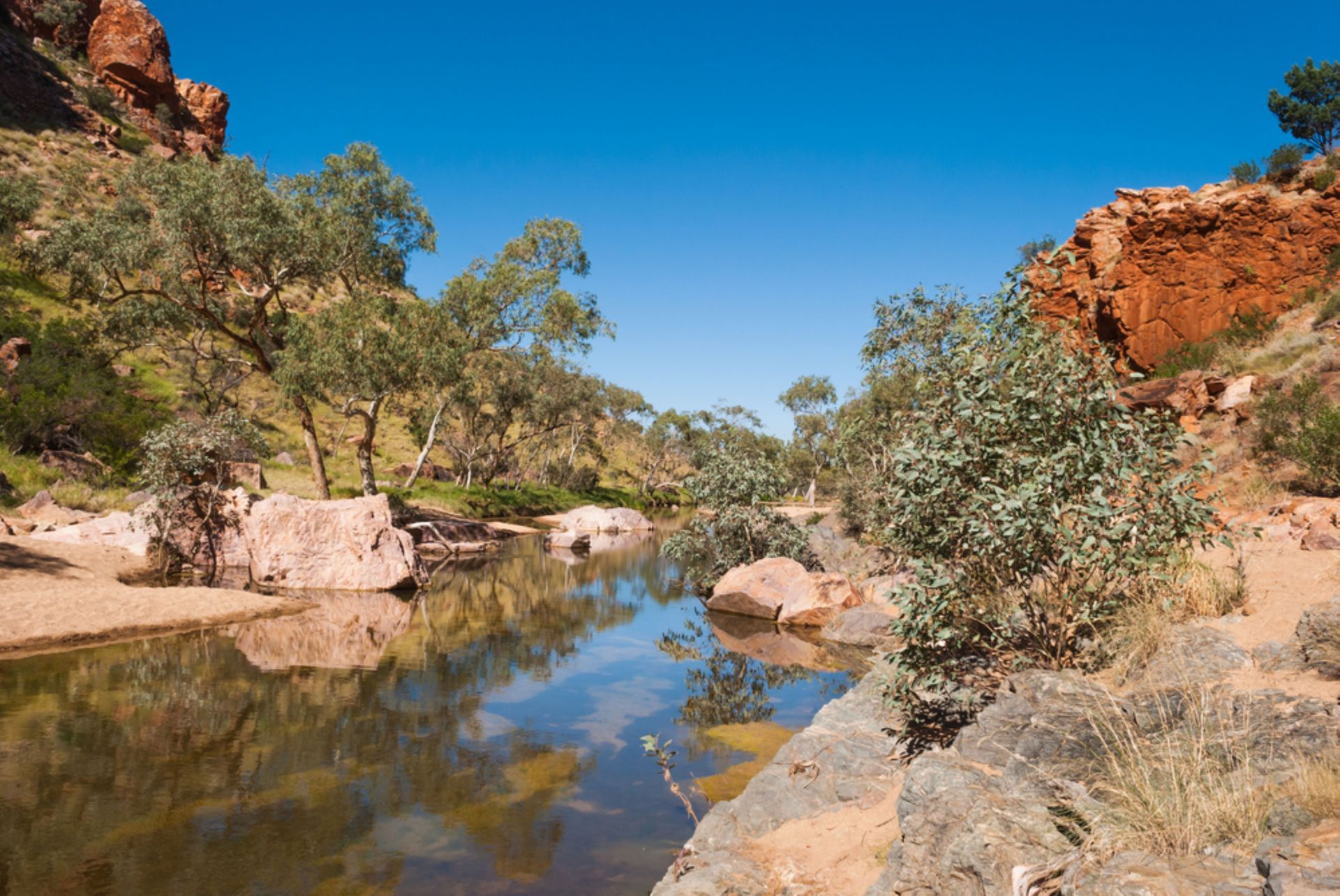 A Serene River Scene with Reflections — Invision NT in Alice Springs, NT