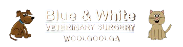 Vet in Woolgoolga