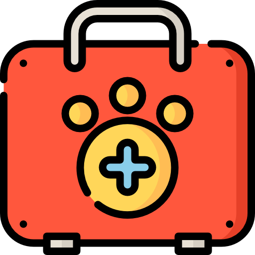 First Aid Icon