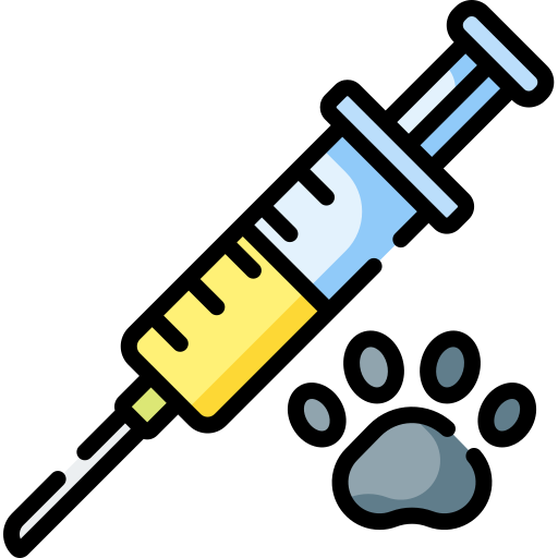 Vaccine Icon