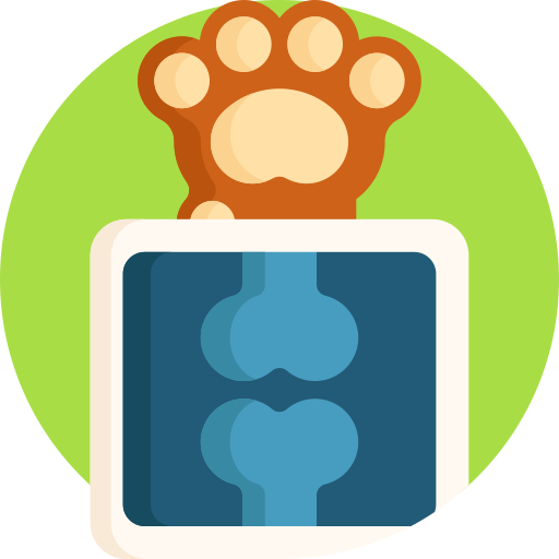 Xray Icon