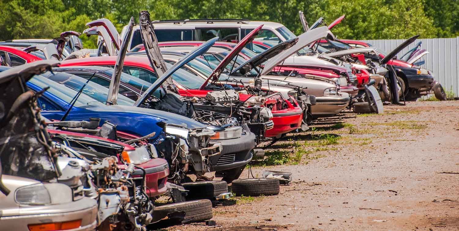 Rows of wrecked cars in a junkyard with hoods open, on a sunny day.