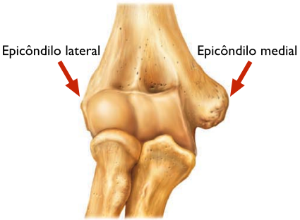 Um diagrama do epicôndilo lateral e do epicôndilo medial do cotovelo.