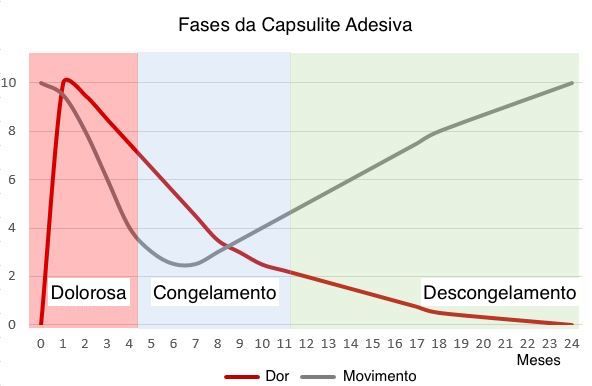 Um gráfico mostrando as etapas de um adesivo de cápsula