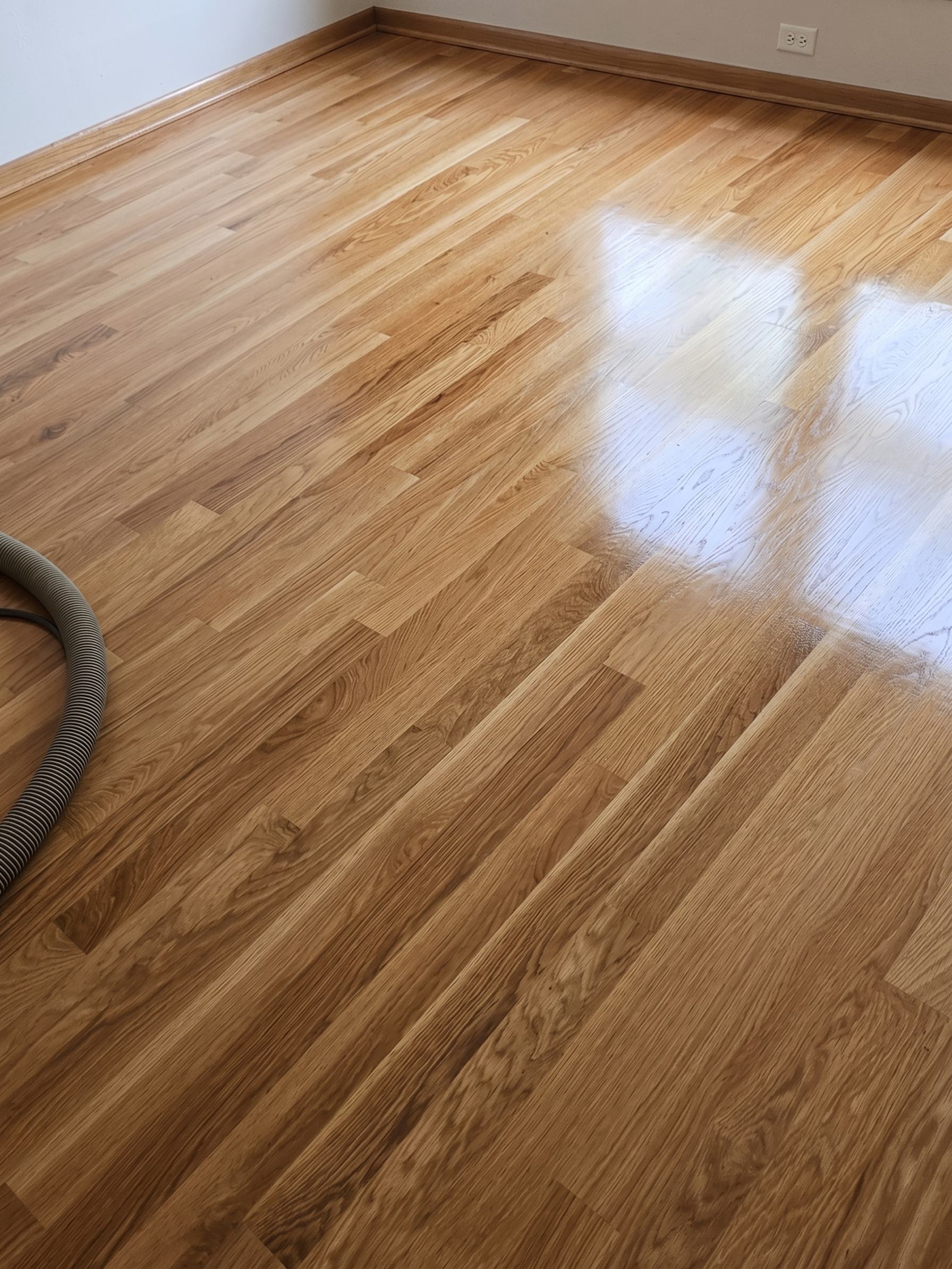 Empty room with polished hardwood floor and sunlight reflections, vacuum hose visible at left.