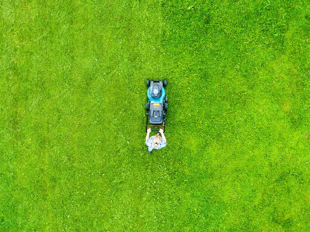 Person Mowing A Vibrant Green Lawn With A Lawnmower — Northern Rivers Acreage Mowing in Lismore, NSW